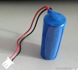 智能水表电池全解析 类型、价格、厂家与选购指南