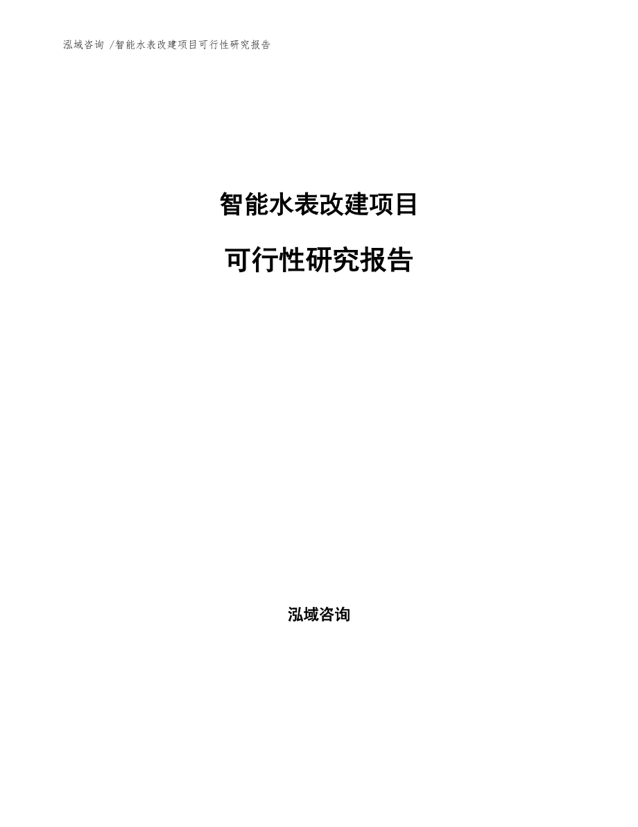 智能水表改建项目可行性研究报告参考模板